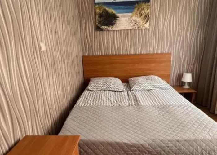 Balticus Проживание в семье *