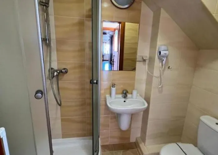 Проживание в семье Balticus *