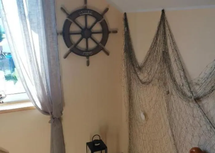 Balticus Проживание в семье *